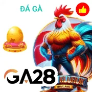 555win Game 09